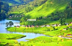 kerla turiost प्लेस image